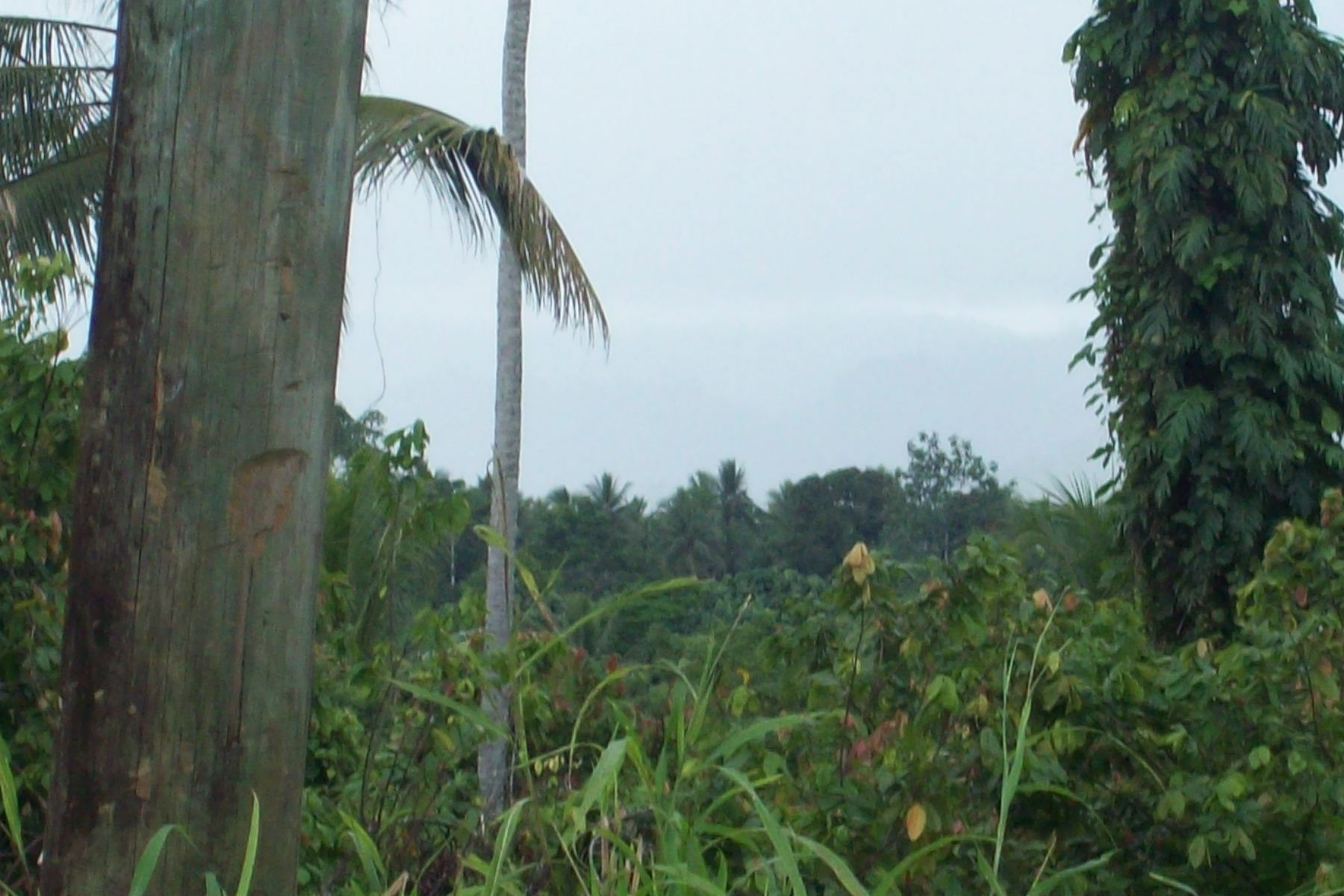 Environmental Works